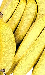 murissement murissement