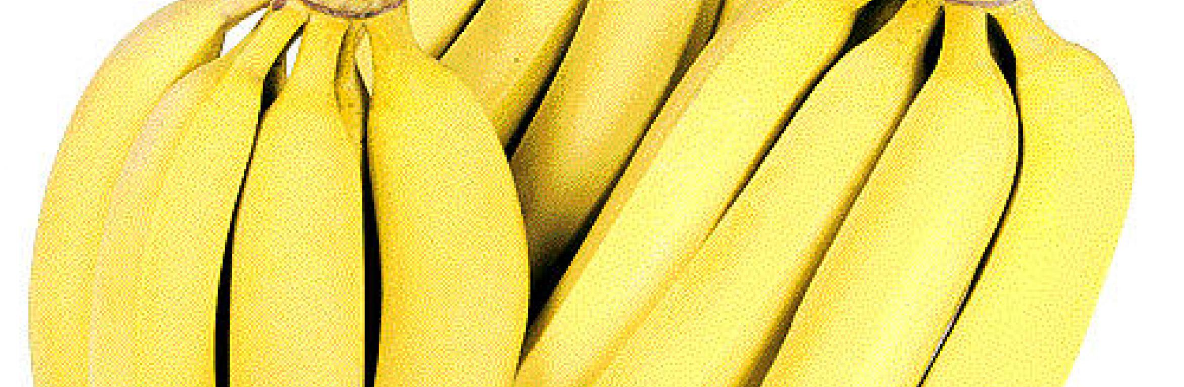 murissement murissement